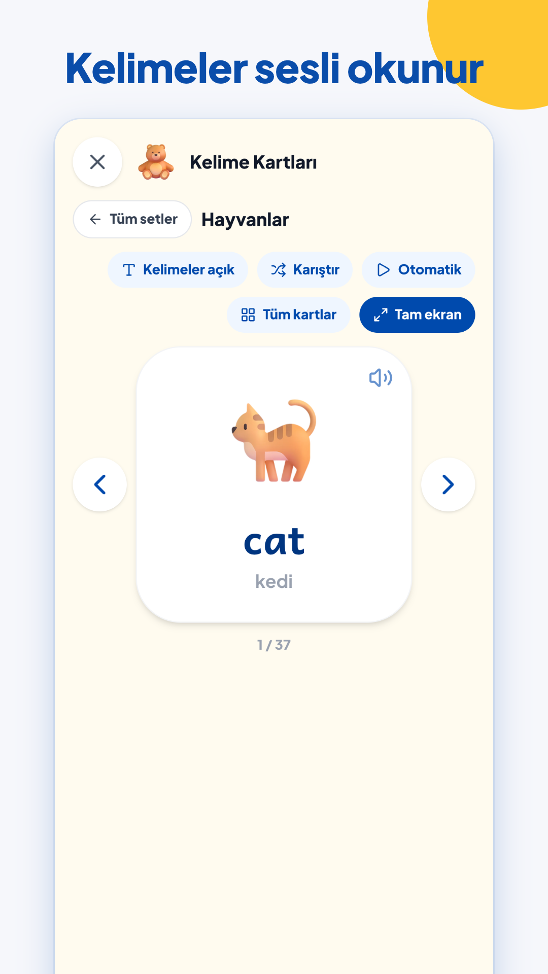 KinderRent 4